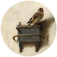 Wallart K&L Wall Art Vliestapete »Runde Vliestapete«, Fabritius Vogel Fink Distelfink, mehrfarbig, matt - bunt