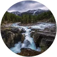 Wallart K&L Wall Art Vliestapete »Runde Vliestapete«, Cuadrado Wasserfall Wald Vintage, mehrfarbig, matt - bunt