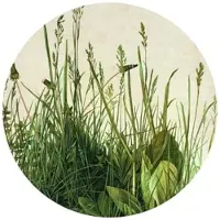 Wallart K&L Wall Art Vliestapete »Runde Vliestapete«, Dürer Löwenzahn Vintage Wiese, mehrfarbig, matt - bunt