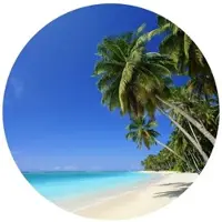 Wallart K&L Wall Art Vliestapete »Runde Vliestapete«, Palmen am Strand Sand Meer, mehrfarbig, matt - bunt