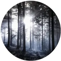 Wallart K&L Wall Art Vliestapete »Runde Vliestapete«, Sonnenstrahlen Wald Blau, mehrfarbig, matt - bunt