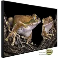 Papermoon Infrarotheizung »EcoHeat - Froschliebe mit grossen Augen«, Matt-Effekt - bunt