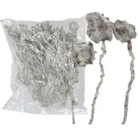 Flowerbox Trockenblumen - weiss