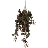 PT Living Hanging Ceropegia