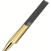 Hansgrohe Rainfinity Stabhandbrause 100 1jet EcoSmart, Polished Gold Optic