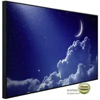 Papermoon Infrarotheizung »EcoHeat - Nachthimmel mit Mond«, Matt-Effekt - bunt