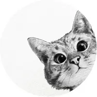 Wallart K&L Wall Art Vliestapete »Runde Vliestapete«, Graves Kleine Katze Kätzchen, mehrfarbig, matt - bunt