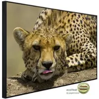 Papermoon Infrarotheizung »EcoHeat - Gepard«, Matt-Effekt - bunt