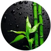 Wallart K&L Wall Art Vliestapete »Runde Vliestapete«, Bambus Wellness Feng Shui, mehrfarbig, matt - bunt