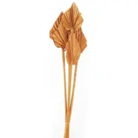 Flowerbox Trockenblumen »Palmspear« - gelb