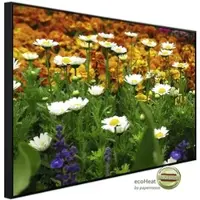 Papermoon Infrarotheizung »EcoHeat - Blumenwiese«, Matt-Effekt - bunt
