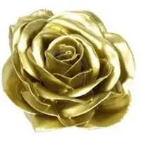Flowerbox Wachsrose 12er-Set - goldfarben