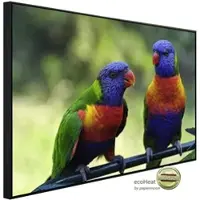 Papermoon Infrarotheizung »EcoHeat - Regenbogen Lorikeets Vögel«, Matt-Effekt - bunt