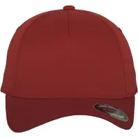 Flexfit Flex Cap "Unisex 5 Panel"