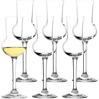 Stölzle Likörglas "Destillatgläser Professional 85 ml 6er Set transparent"