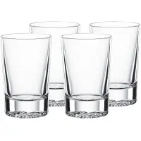 Spiegelau Schnapsglas "Shotgläser Lounge 2.0 55 ml 4er Set transparent"