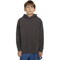 Element Hoodie "Lowcase Pigment"