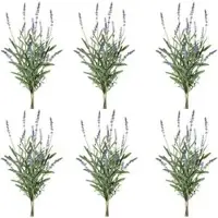 Creativ Green Kunstblume Lavendelbund, lila, Höhe 48 cm, 6 Stück