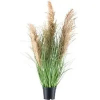 Creativ Green Kunstpflanze Natur-Schilfgras, im Topf, Höhe 75 cm