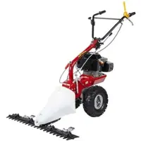 Eurosystems P70 EVO Mehrzweckgerät Balkenmäher mit Doppelmessern Loncin 224 OHV