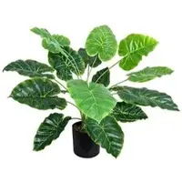 Decovego Kunstpflanze Aronstab Araceae Arum Taro, im Topf, Höhe 60 cm