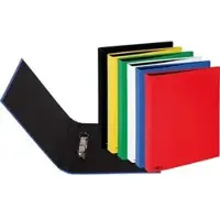 Pagna Ringbuch A4 Pappe Standardfarb