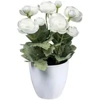 Creativ Green Kunstblume Ranunkel, weiß, im Topf, Höhe 20 cm, 2 Stück