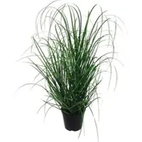 Gasper Creativ-green Kunstpflanze Grasbusch, im Topf, Höhe 75 cm