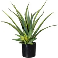Creativ Green Kunstpflanze Aloe Vera, im Topf, Höhe 48 cm