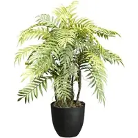 Creativ Green Künstliche Pflanze Farnpflanze 60cm im Topf