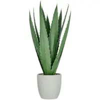 Creativ Green künstliche Pflanze Agave im grauen Zementtopf, 80cm, UV-beständig