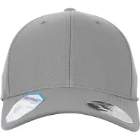 Flexfit Flex Cap "Accessoires 110 Pro-Formance"