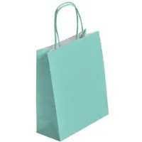 Gimex Boutique-Tüte mit verdrehten Griffen in WASSERGRÜN 35 + 14 x 40 cm je 250 -