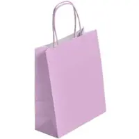 RAJA Boutique-Tüte mit verdrehten Griffen in HELLROSA 35 + 14 x 40 cm je 250 -