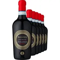 Botter Casa Vinicola S.P.A. 2021 Magnifico Fuoco Primitivo di Manduria Riserva im 6er-Vorratspaket
