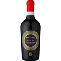 Botter Casa Vinicola S.P.A. Magnifico Fuoco Primitivo di Manduria Riserva