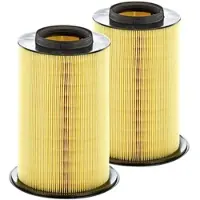 MANN-FILTER 2x Luftfilter C 16 134/2 für Ford Volvo C-Max II Grand C30 S40