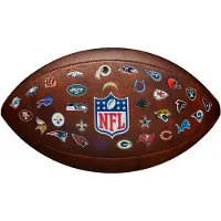 Wilson NFL OFF THROWBACK 32 TEAM LOGO