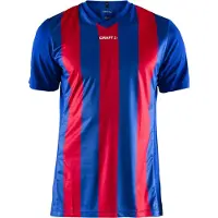 Craft Trikot progress stripe