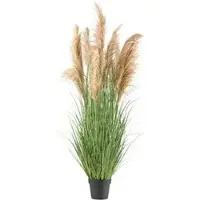 Creativ Green Kunstpflanze Natur-Schilfgras, im Topf, Höhe 165 cm