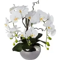 Creativ Green Kunstblume Orchidee, Phalaenopsis, weiß, Arrangement im Silbertopf, Höhe 55 cm