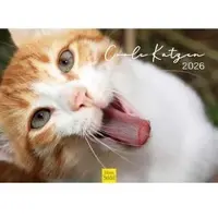 Edition-Seidel Bildkalender Coole Katzen 2026, Motiv: Katzen, Spiralkalender, A3