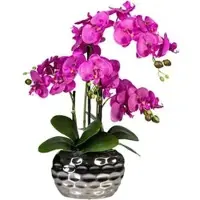 Creativ Green Kunstblume Orchidee, Phalaenopsis, lila, in silberner Ovalvase, Höhe 55 cm
