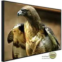 Papermoon Infrarotheizung »EcoHeat - Red Tail Hawk«, Matt-Effekt - bunt