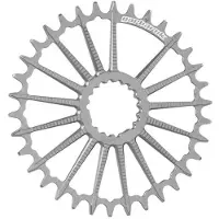 Garbaruk Mtb Dm Boost Kettenblatt
