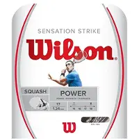 Wilson Sensation Control Tennissaiten