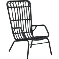 vidaXL "2026 Promotion" Gartenstuhl Poly Rattan Schwarz - Gartenstühle CC26687