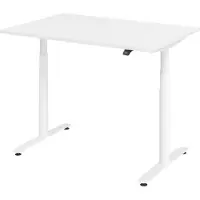 Bümö Schreibtisch elektrisch Bluetooth & App XDLR - Nachbildung: Weiß, Größe: 120 x 80 cm, Gestell: Weiß