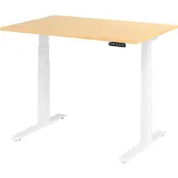 Bümö Schreibtisch elektrisch XDKB - Nachbildung Ahorn, Größe: 120 x 80 cm, Gestell: Weiß