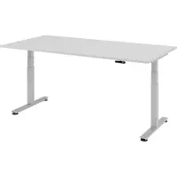 Bümö Schreibtisch elektrisch XDSM - Gestell: Silber, Nachbildung: Grau, Größe: 200 x 100 cm